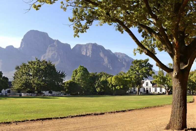 Stellenbosch: Eastern Route Hop-On Hop-Off Wine Tour - Highlights of the Tour
