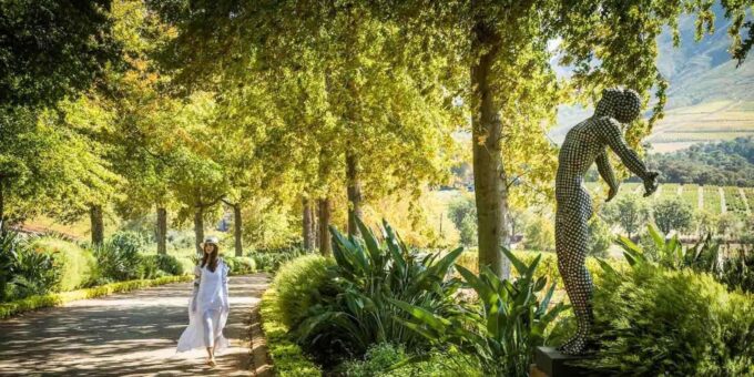 Stellenbosch, Franschhoek, and Paarl Wine Tasting Private Tour. - Inclusions and Important Information