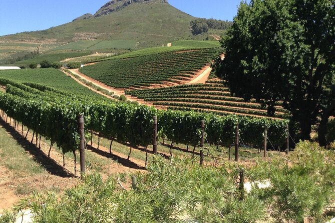 Stellenbosch Franschhoek Full-Day Tour With Cheese Tasting - Inclusions