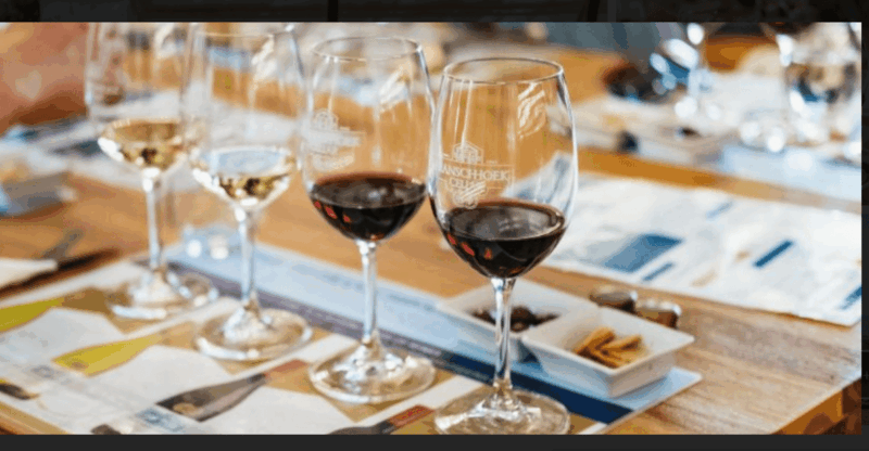 Stellenbosch& Franschhoek Wine Tasting Full Day Private Tour - Key Points