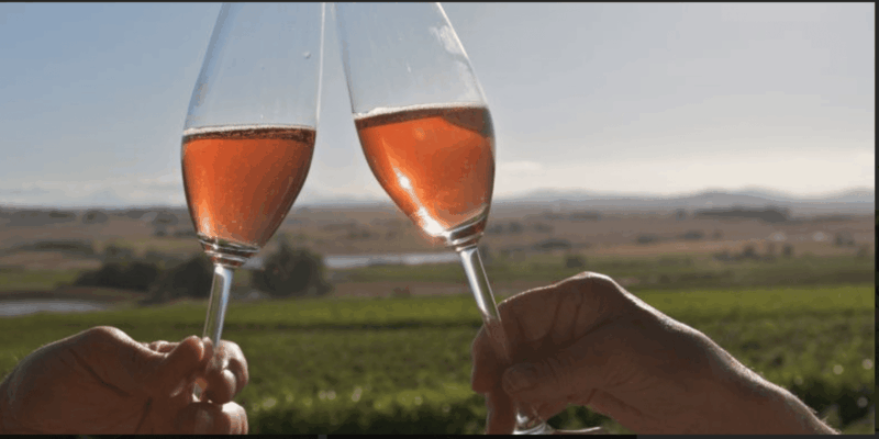 Stellenbosch& Franschhoek Wine Tasting Full Day Private Tour - Experience and Learning