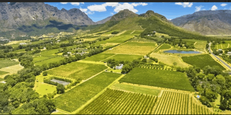 Stellenbosch& Franschhoek Wine Tasting Full Day Private Tour - Important Information