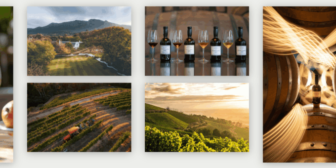 Stellenbosch& Franschhoek Wine Tasting Full Day Private Tour - Delheim Wine Estate and Fairview Wine Estate
