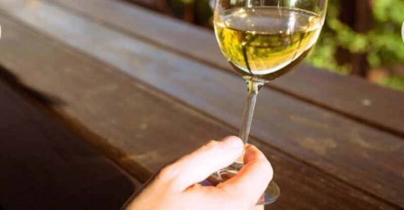 Stellenbosch & Franschhoek Wine Tasting Tour From Cape Town. - Key Points