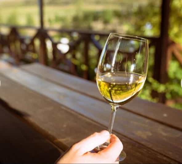 Stellenbosch & Franschhoek Wine Tasting Tour From Cape Town. - Itinerary and Experience