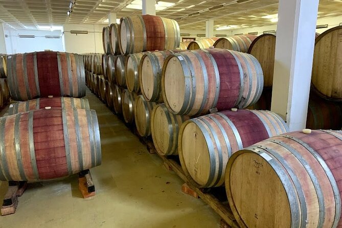 Stellenbosch & Franschhoek Wine Tasting Tour From Cape Town - Highlights of the Tour