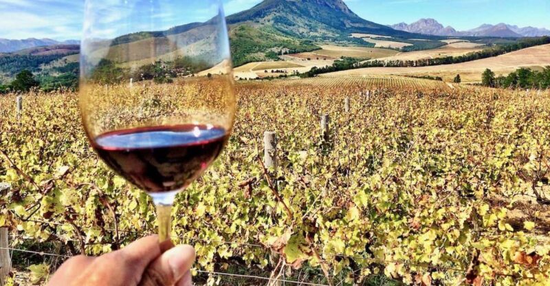 Stellenbosch Full Day Wine Testing With Lunch - Key Points