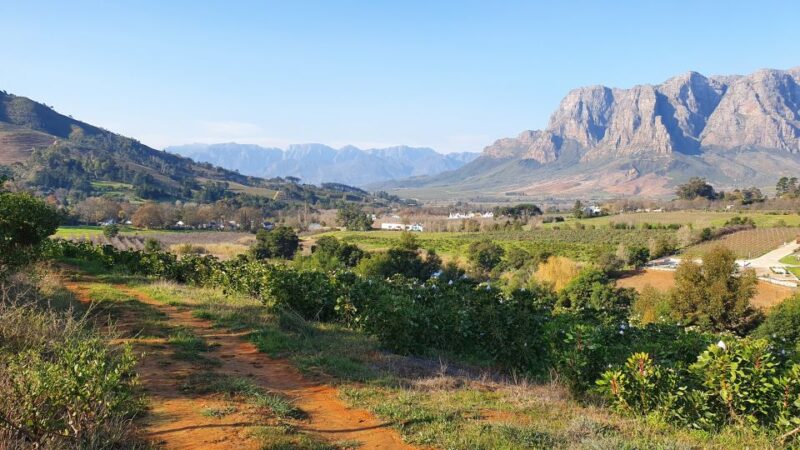 Stellenbosch: Guided Vineyard Hike and Wine Tasting - Exploring Banhoek Valley Vineyards