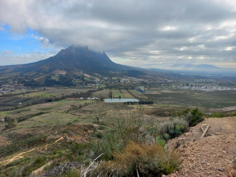 Stellenbosch: Half-Day Guided Nature Hike and Wine Tasting - Key Points