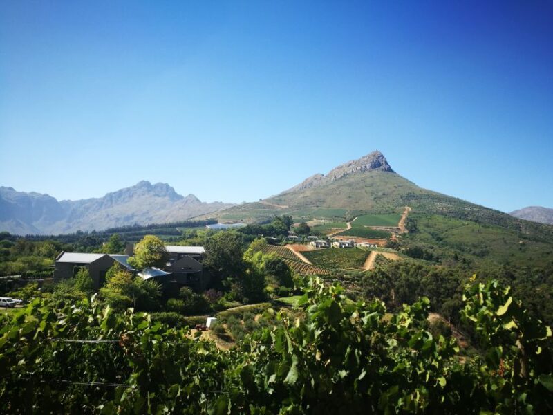 Stellenbosch: Half-Day Guided Nature Hike and Wine Tasting - Hike Description