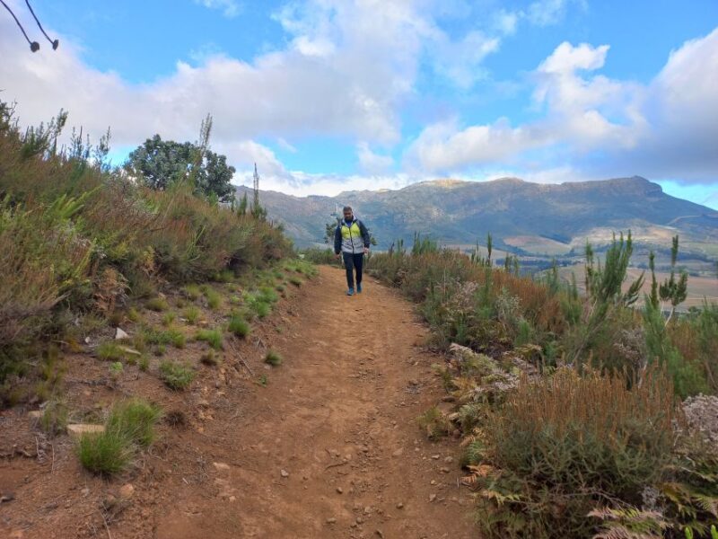 Stellenbosch: Half-Day Guided Nature Hike and Wine Tasting - Conservancy Highlights