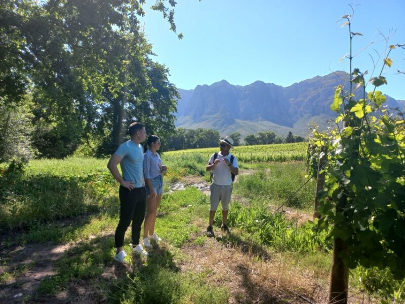 Stellenbosch: Half-Day Guided Nature Hike and Wine Tasting - Trail Difficulty