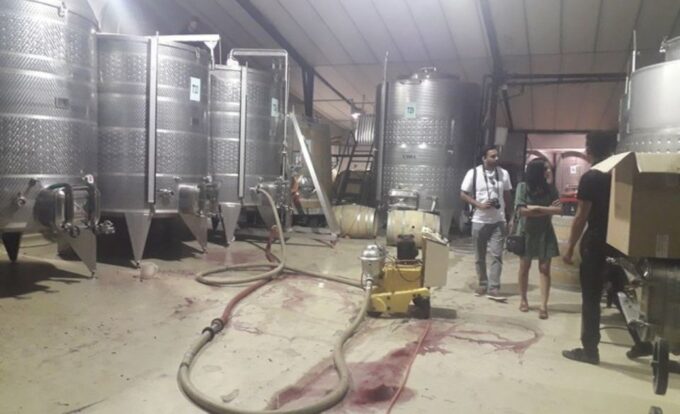 Stellenbosch: Half-Day Wine Tour - Frequently Asked Questions