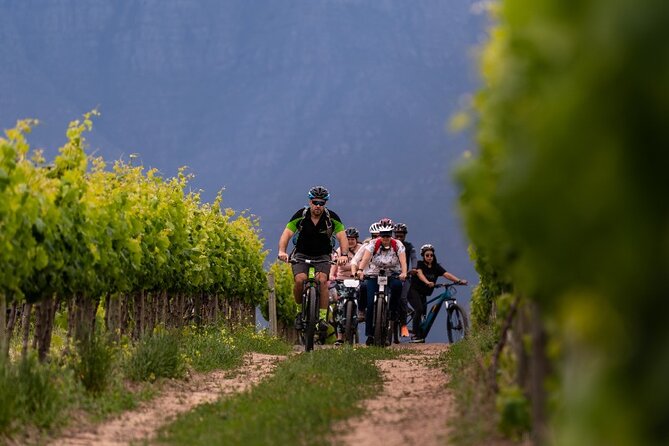 Stellenbosch Half Day Winelands Cycle Tour - Wine Tastings at Wineries