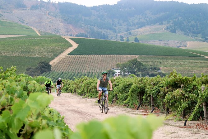 Stellenbosch Half Day Winelands Cycle Tour - Snack Pack and Bottled Water