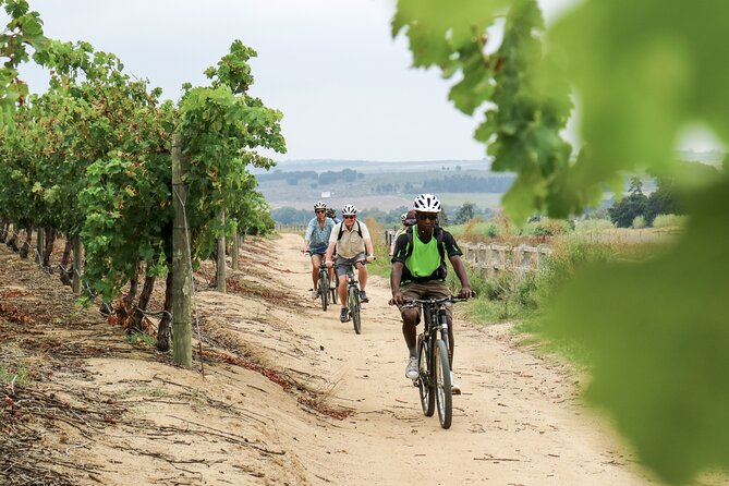 Stellenbosch Half Day Winelands Cycle Tour - Minimum Age and Requirements