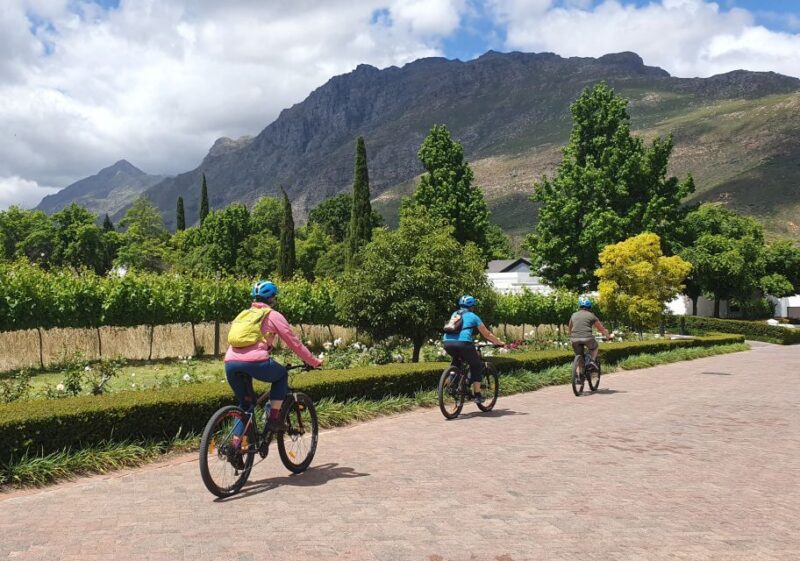 Stellenbosch: Historical Bike Tour & Wine Tasting - Key Points