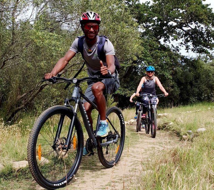 Stellenbosch: Historical Bike Tour & Wine Tasting - Highlights of the Experience