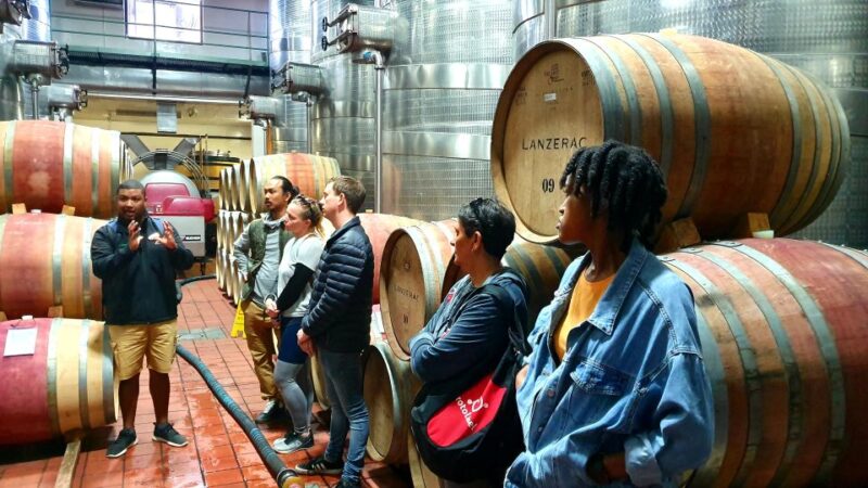 Stellenbosch: Historical Bike Tour & Wine Tasting - Cycle Through Stellenbosch University