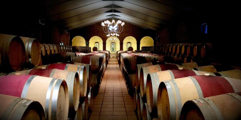Stellenbosch Mavericks Wine Tasting Tour - Experience Details