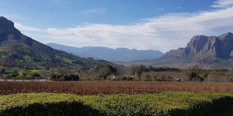 Stellenbosch Mavericks Wine Tasting Tour - Tour Duration and Pickup
