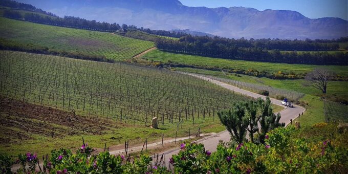 Stellenbosch Mavericks Wine Tasting Tour - Availability and Customization