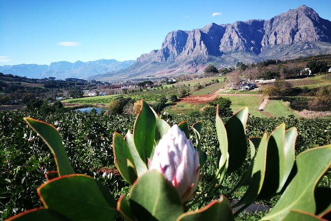 Stellenbosch Private E-Bike & Wine Tour - Cancellation and Flexibility