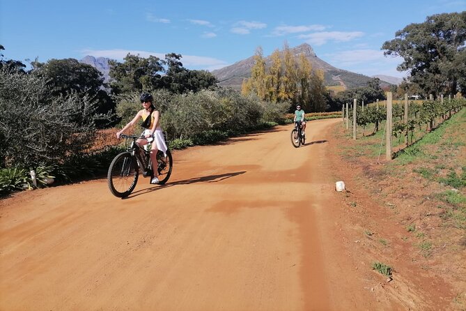 Stellenbosch Private E-Bike & Wine Tour - Traveler Feedback