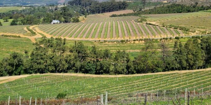 Stellenbosch Scenic Mountain Wine Tasting Tour - Frequently Asked Questions