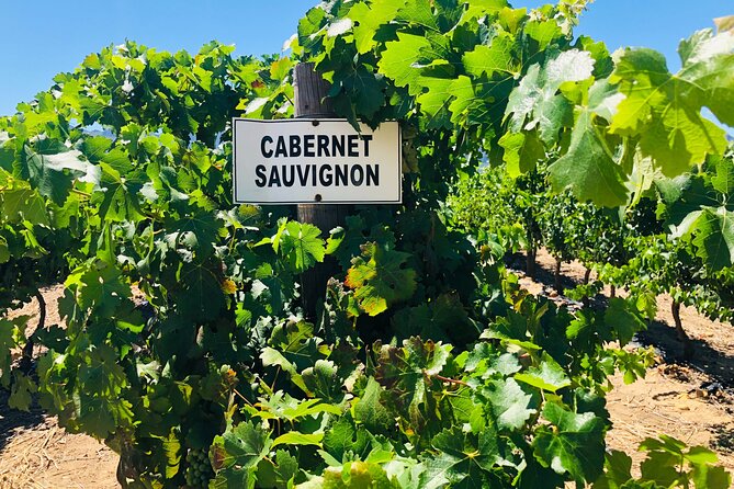 Stellenbosch Small Group Wine Tasting Tour From Cape Town - Frequently Asked Questions