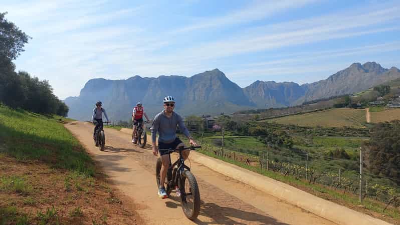 Stellenbosch: Stellenbosch E-Bike & Wine Tour (Shared Tour) - Key Points