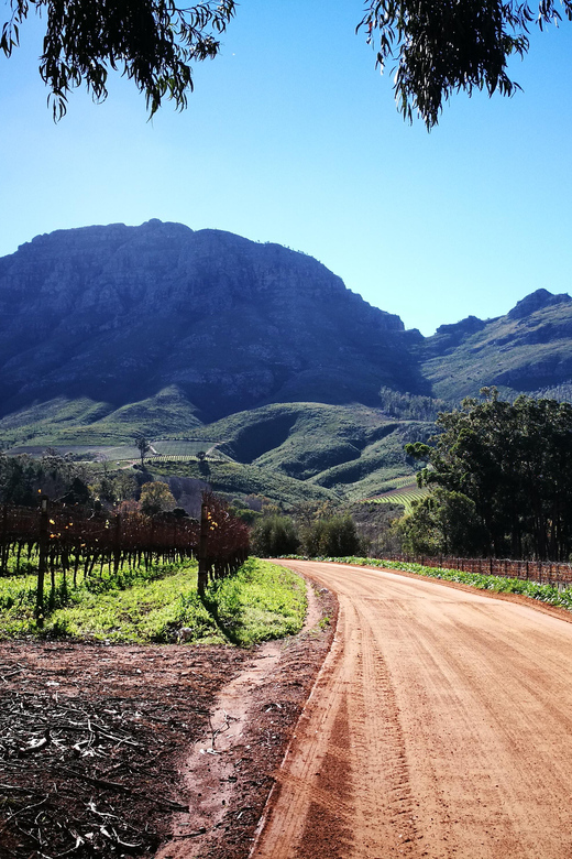 Stellenbosch: Stellenbosch E-Bike & Wine Tour (Shared Tour) - Activity and Duration