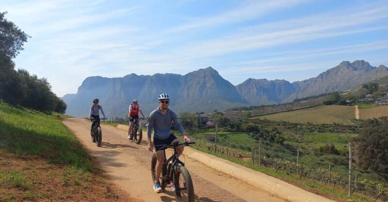Stellenbosch: Stellenbosch E-Bike & Wine Tour (Shared Tour) - Pricing and Booking