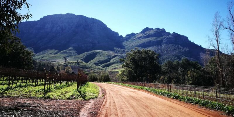 Stellenbosch: Stellenbosch E-Bike & Wine Tour (Shared Tour) - Inclusions