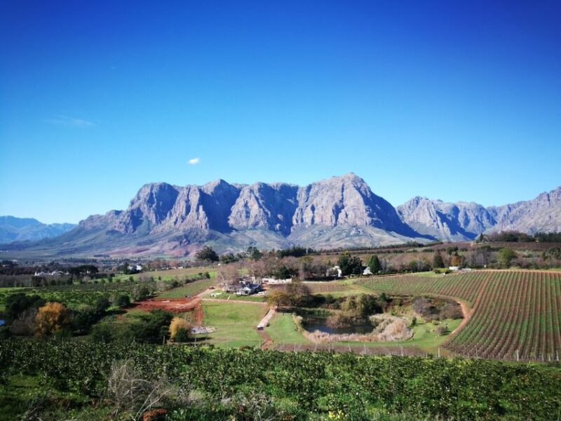 Stellenbosch: Stellenbosch Private E-Bike & Wine Tour - Key Points