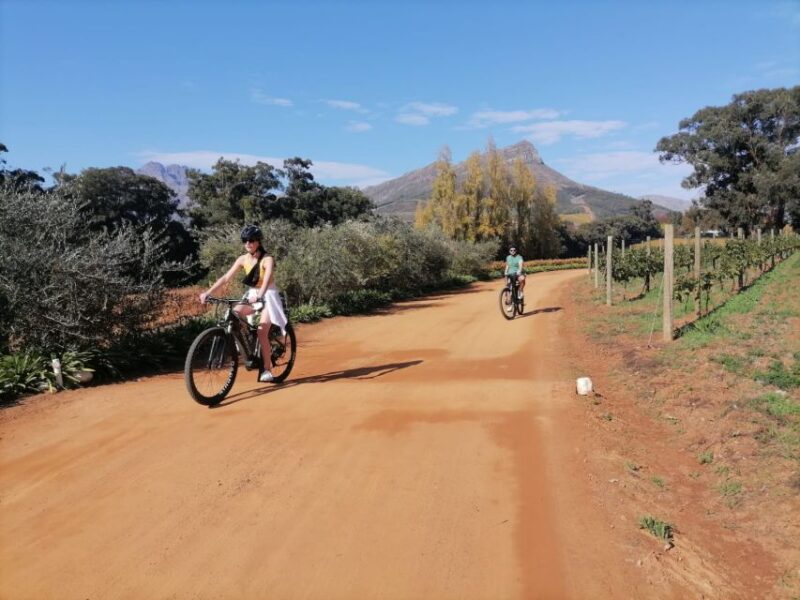 Stellenbosch: Stellenbosch Private E-Bike & Wine Tour - Itinerary Details