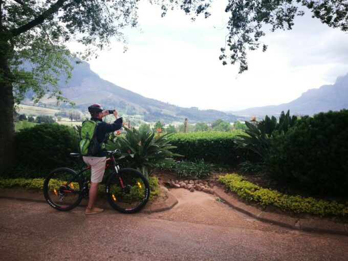 Stellenbosch: Stellenbosch Private E-Bike & Wine Tour - Premium Wine Tastings