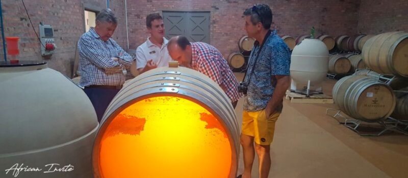 Stellenbosch Valley: Private Tour With Winemaker - Key Points