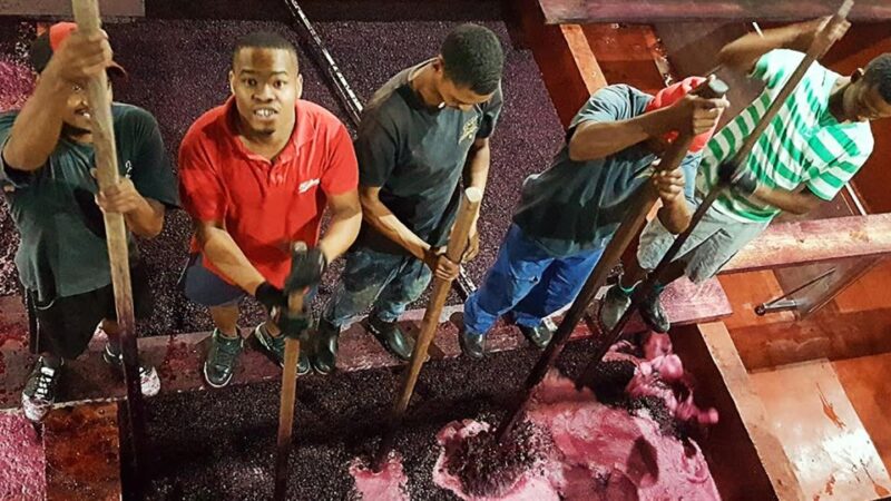 Stellenbosch Valley: Private Tour With Winemaker - Guided Tour of Stellenbosch