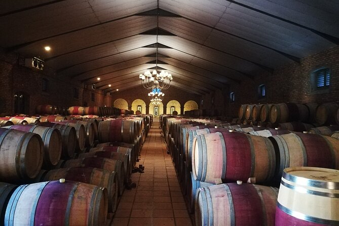 Stellenbosch Vineyard Walk & Wine Tasting - Wine Tasting Highlights