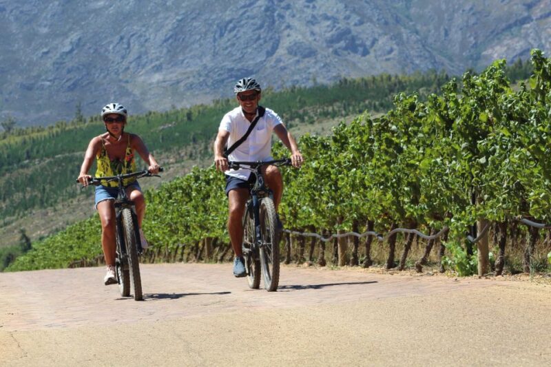 Stellenbosch: Wine Farm E-Bike Guided Tour - Key Points