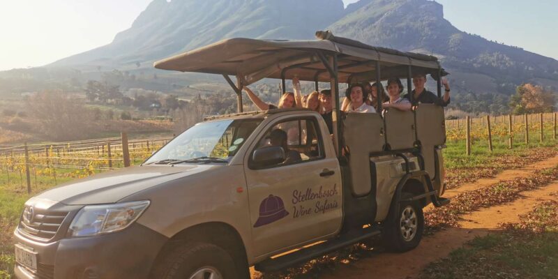 Stellenbosch: Wine Tasting Safari - Stellenbosch Wine Route