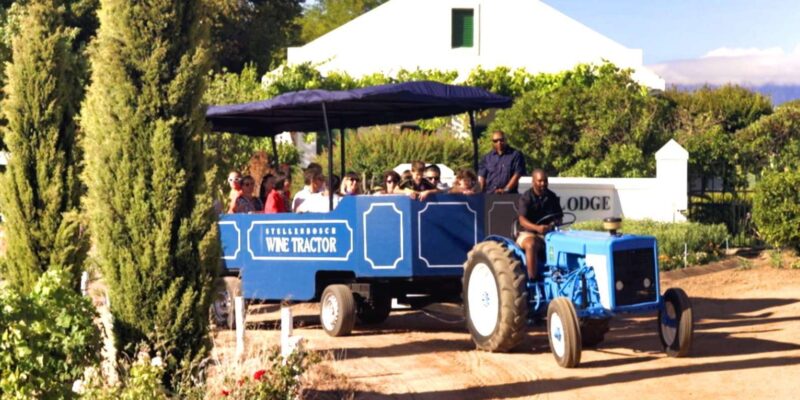 Stellenbosch Wine Tractor: Hop on Hop off Wine Tasting Tour - Key Points