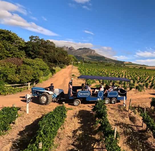Stellenbosch Wine Tractor: Hop on Hop off Wine Tasting Tour - Included and Excluded