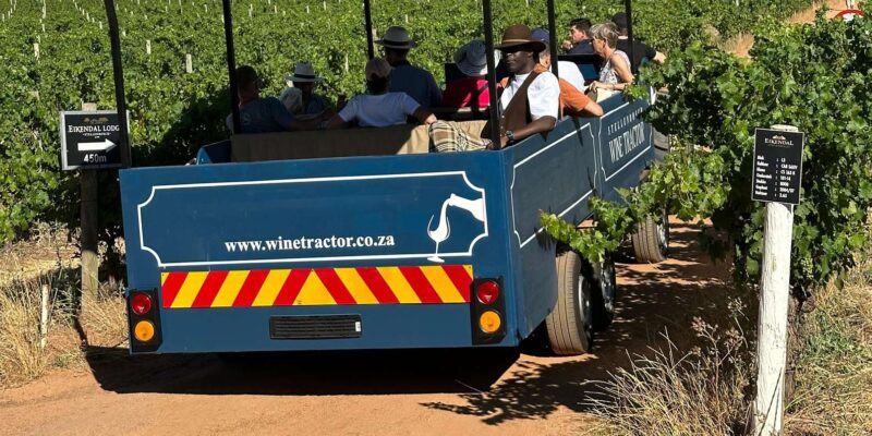 Stellenbosch Wine Tractor: Hop on Hop off Wine Tasting Tour - Customer Feedback