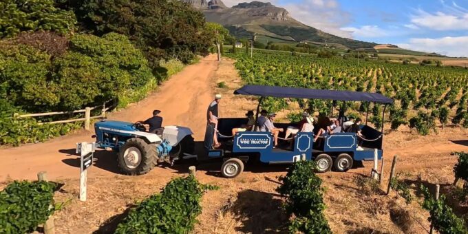 Stellenbosch Wine Tractor: Hop on Hop off Wine Tasting Tour - Frequently Asked Questions