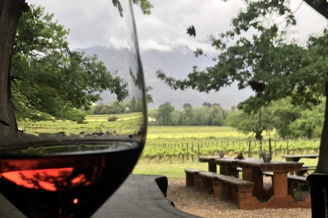 Stellenbosch Winelands Connoisseur Day Tour With Private Transfer - Pricing Information
