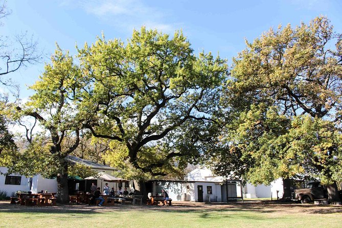 Stellenbosch Winelands Connoisseur Day Tour With Private Transfer - Booking and Cancellation Policy