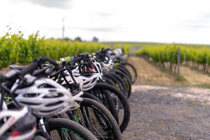 Stellenbosch Winelands Luxury EBike Tour © - Confirmation and Accessibility