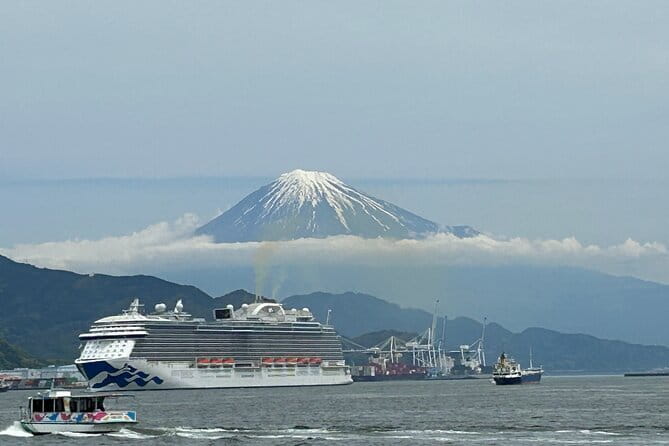 Step- Free Easy Going Tour From Shimizu Port / Sedan Taxi - What to Expect